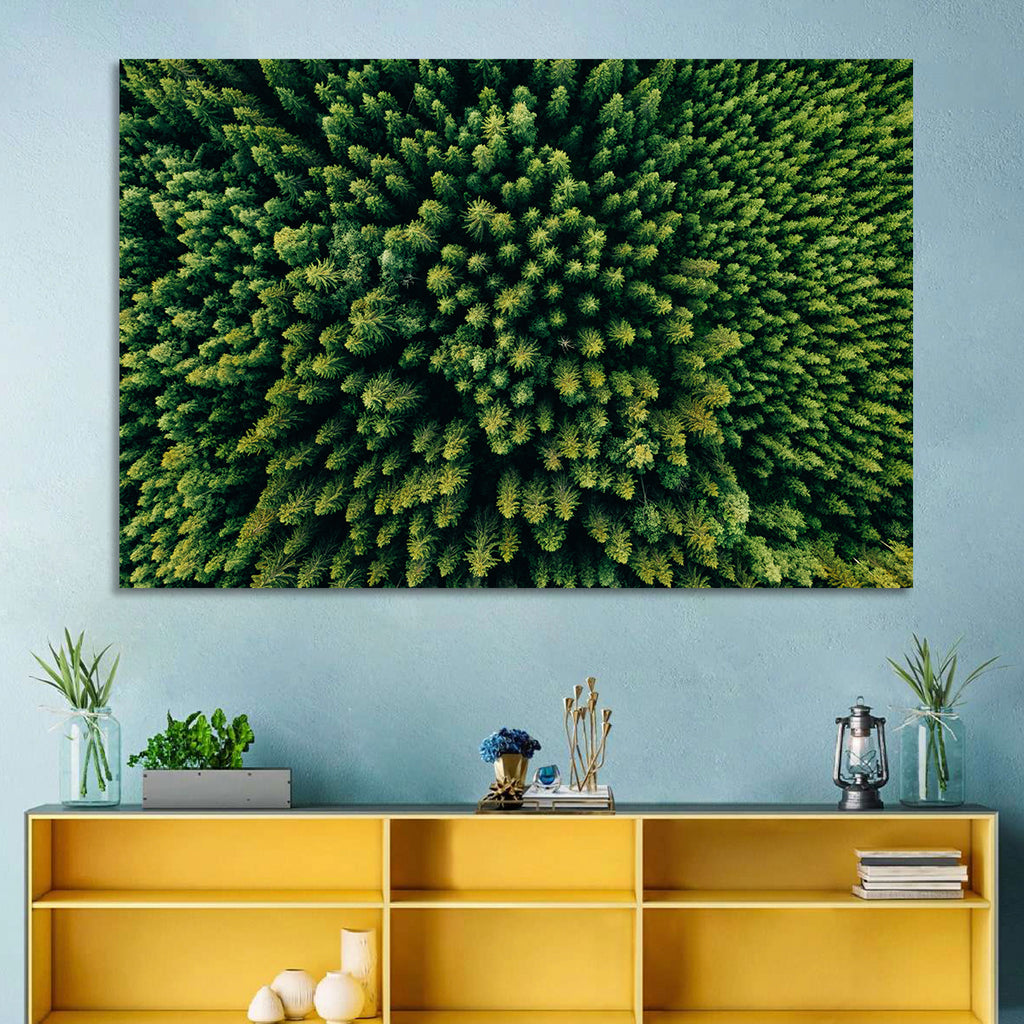 Aerial Conifer Canopy Wall Art