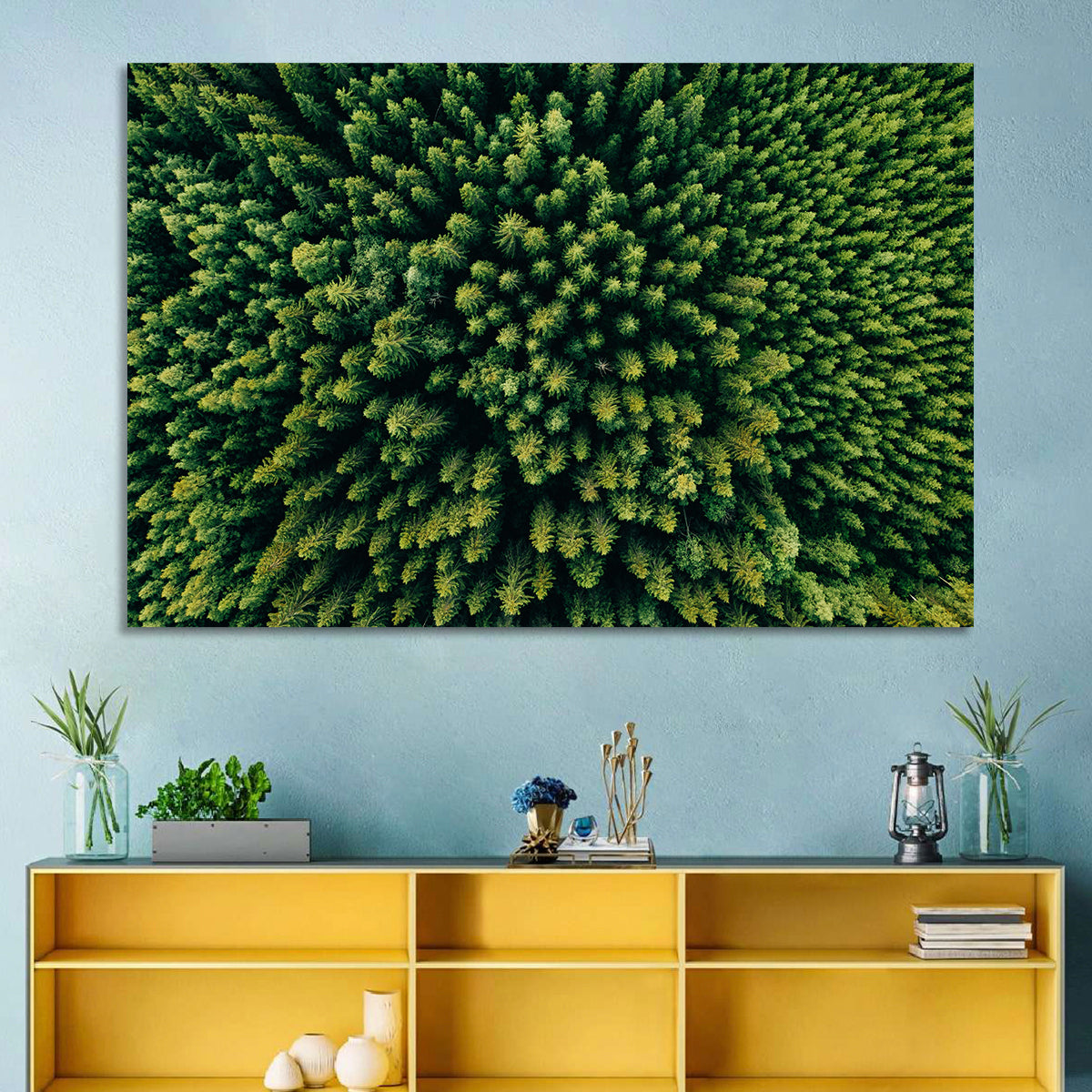 Aerial Conifer Canopy Wall Art in a room, landscape
