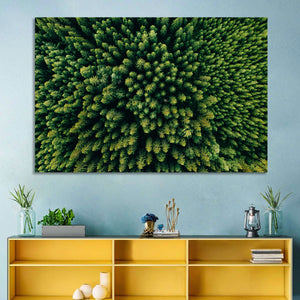 Forest Aerial Pattern Wall Art