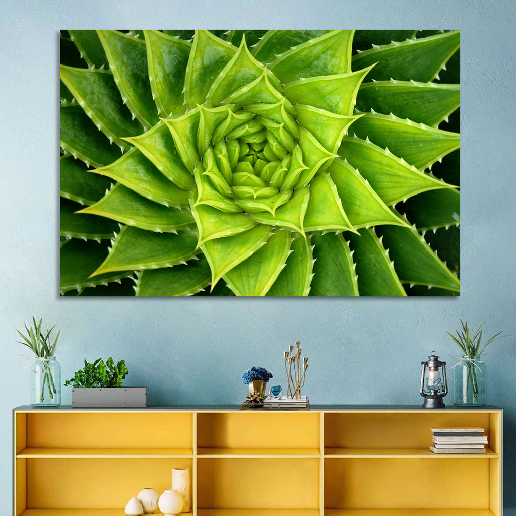 Spiral Aloe Succulent Wall Art
