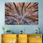 Misty Forest Canopy Wall Art
