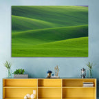 Rolling Emerald Wheat Fields Wall Art