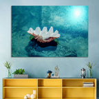 Giant Clam Shell Wall Art