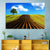 Agricultural Farmscape Wall Art