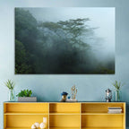 Misty Rainforest Canopy Wall Art