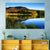 Calm Mountain Lake Wall Art