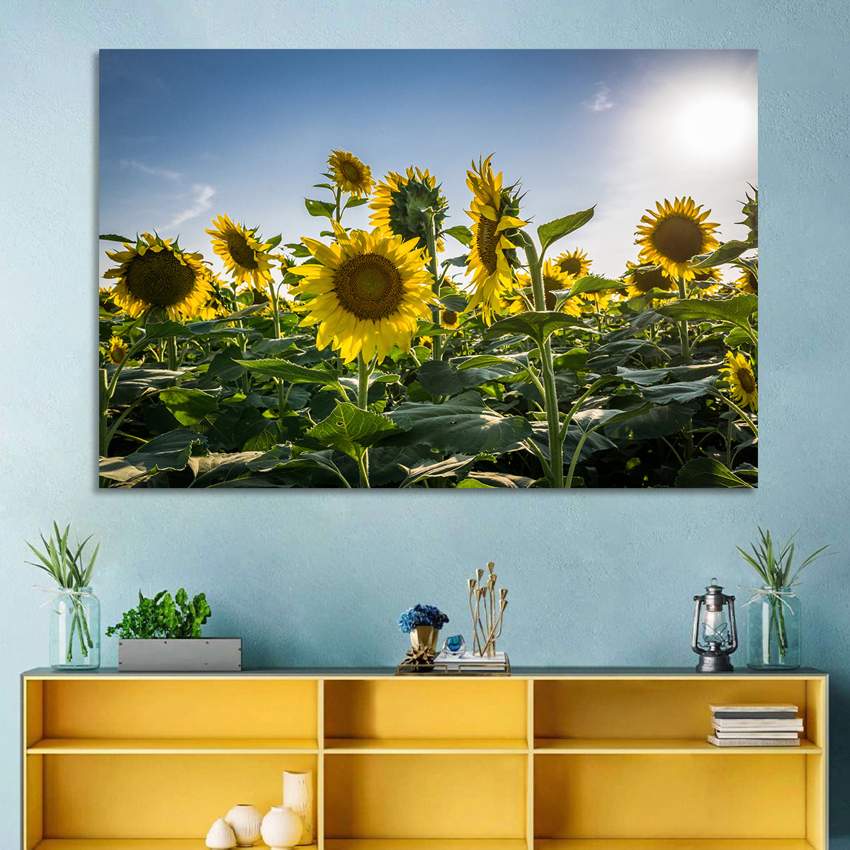 Backlit Sunflower Field Wall Art in a room, landscape