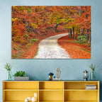 Misty Gravel Path Through Autumn Trees Wall Art