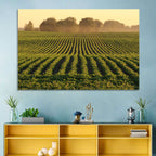 Misty Soybean Field at Dusk Wall Art