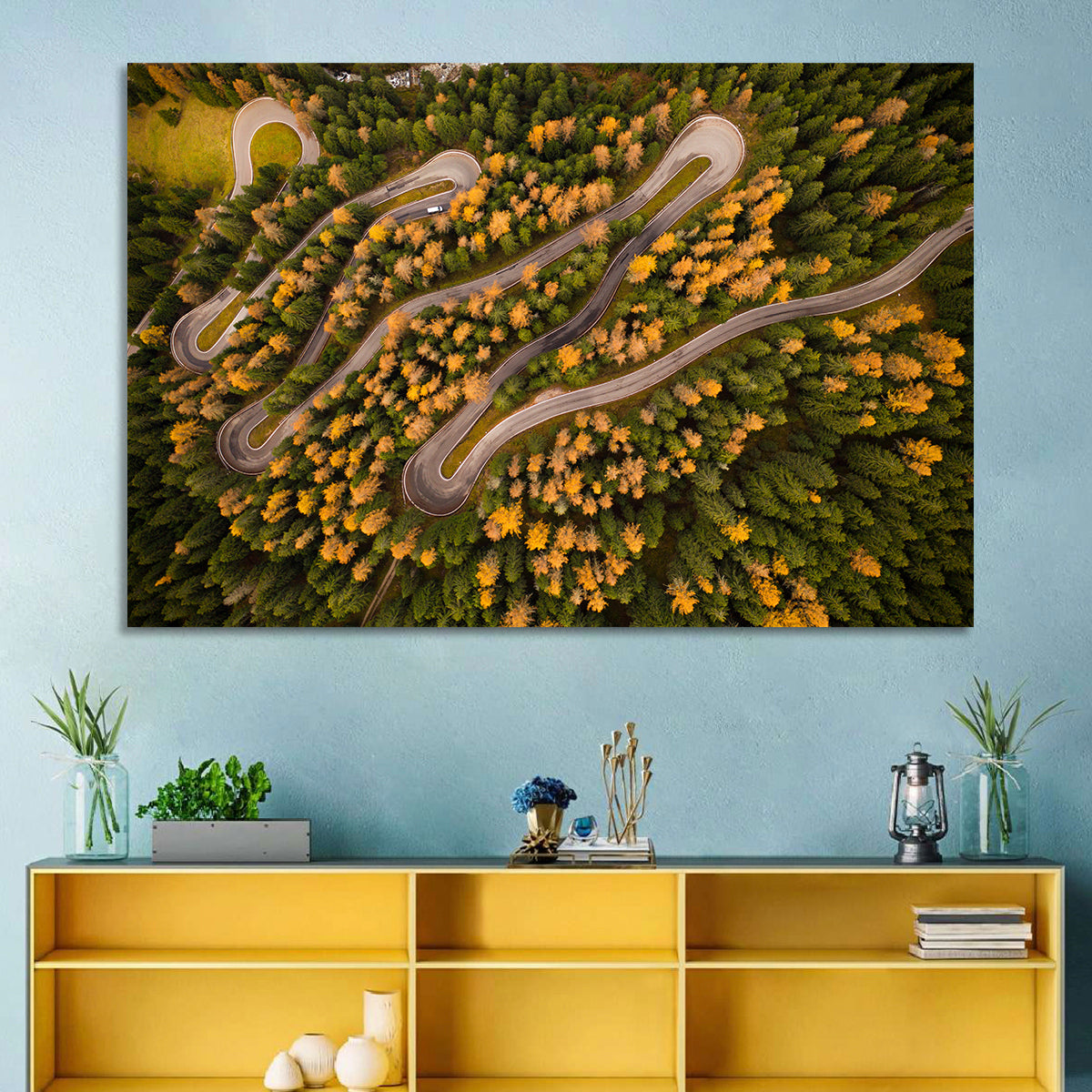 Aerial Curvy Forest Road Wall Art in a room, landscape