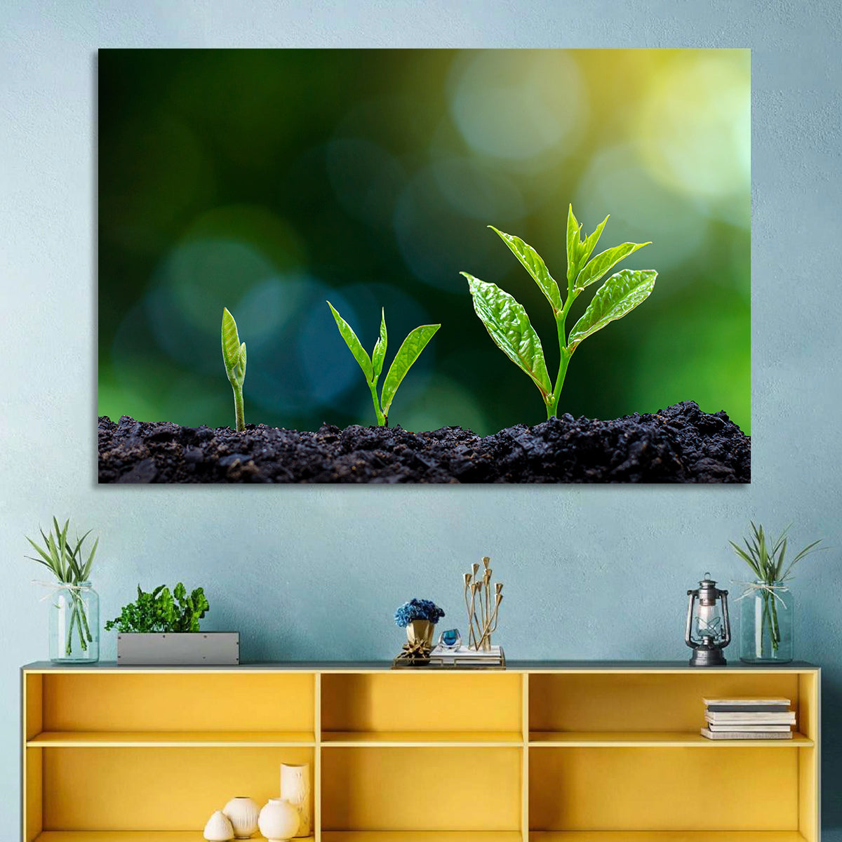 Seedling Growth Stages Wall Art