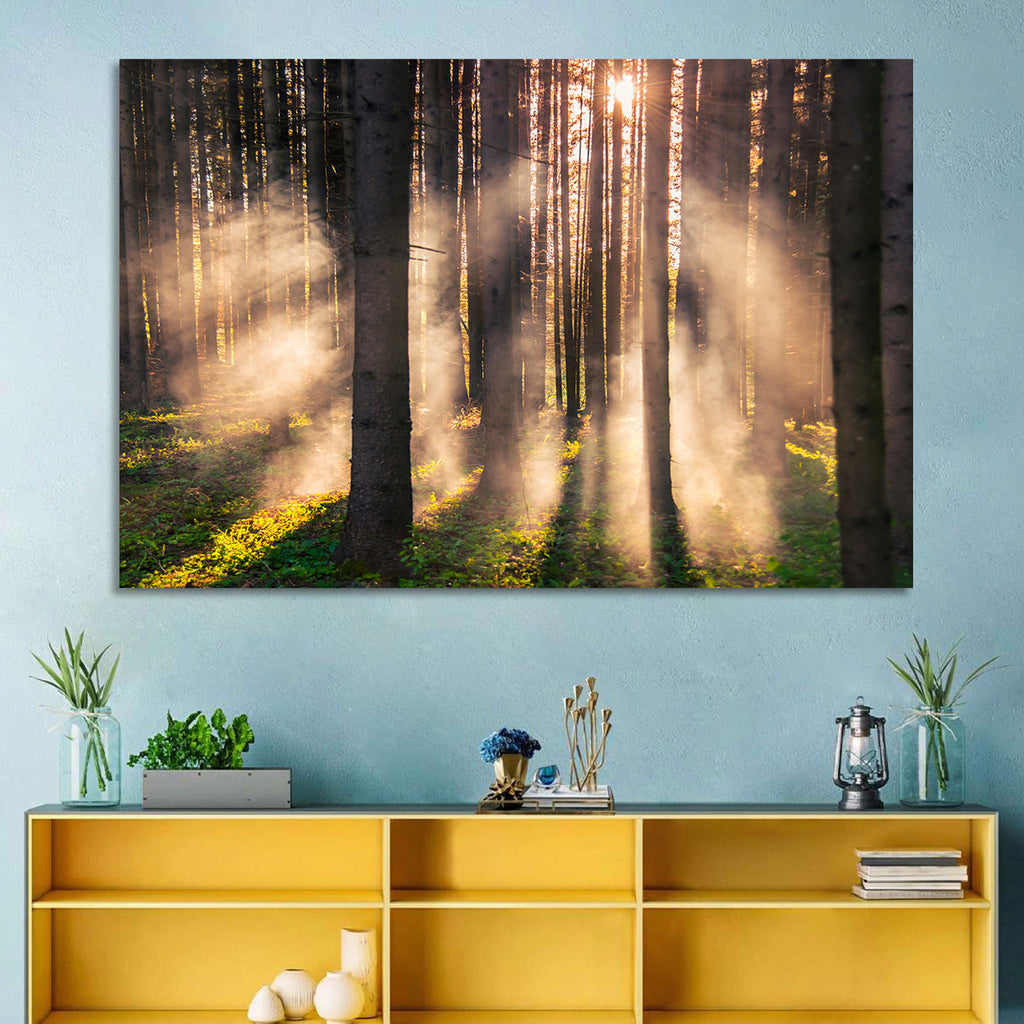 Sunrise Through Misty Forest Wall Art