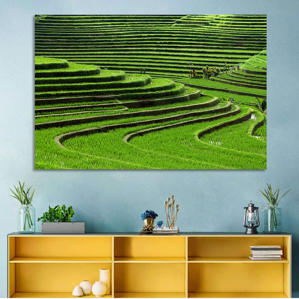 Lush Rice Terraces Wall Art