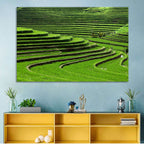 Lush Rice Terraces Wall Art