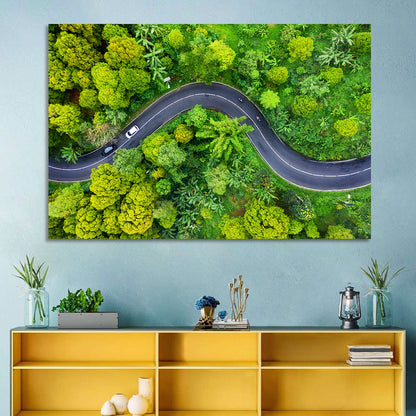 Summer Forest Road Aerial Wall Art