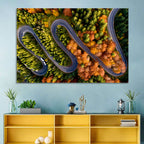 Autumn Aerial Mountain Road Wall Art