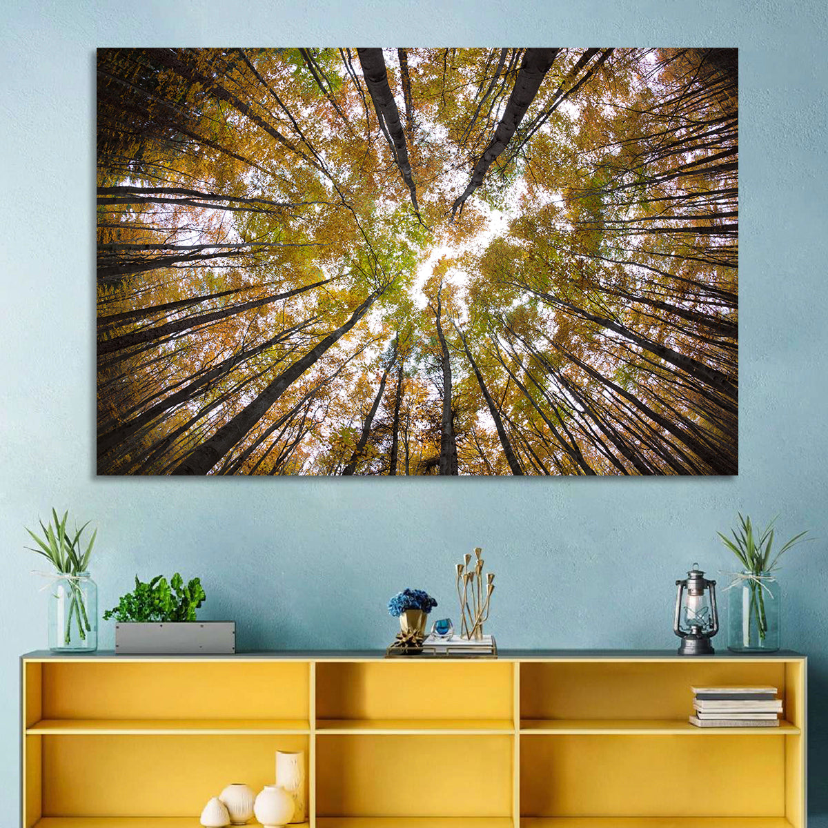 Autumn Forest Canopy Looking Up Wall Art in a room, landscape