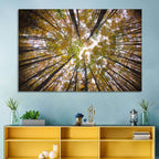 Autumn Forest Canopy Looking Up Wall Art