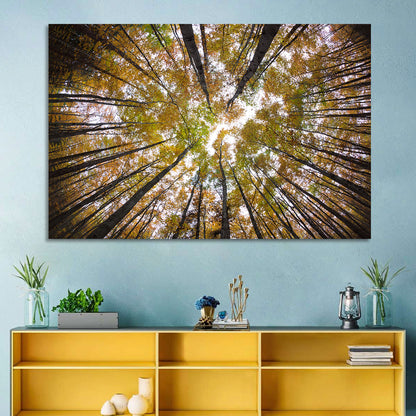 Forest Treetops Wall Art