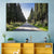 Cypress Trees Avenue Wall Art