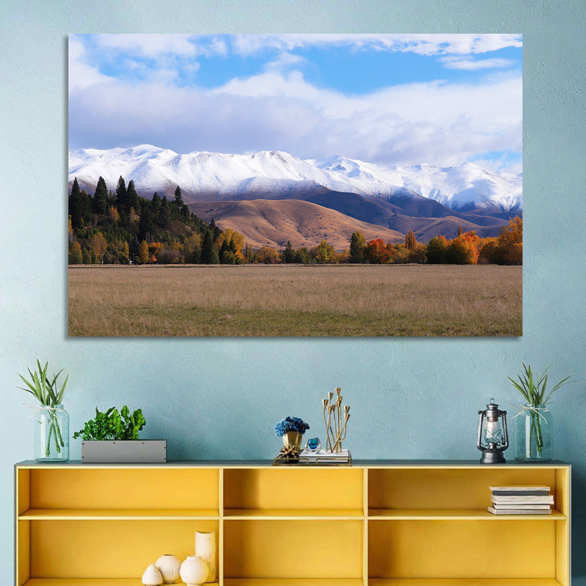 Ben Ohau Mountain Meadow Wall Art