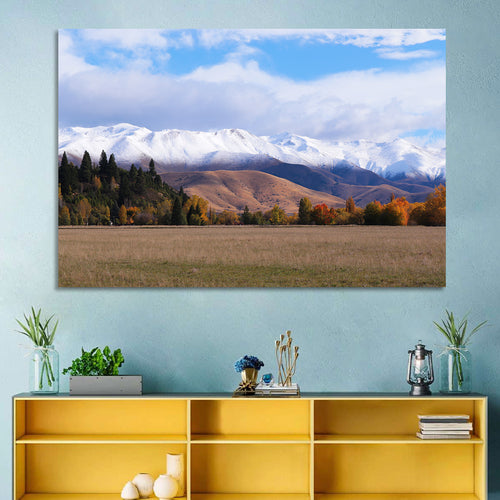 Ben Ohau Mountain Meadow Wall Art