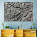 Tree Growth Rings Wall Art