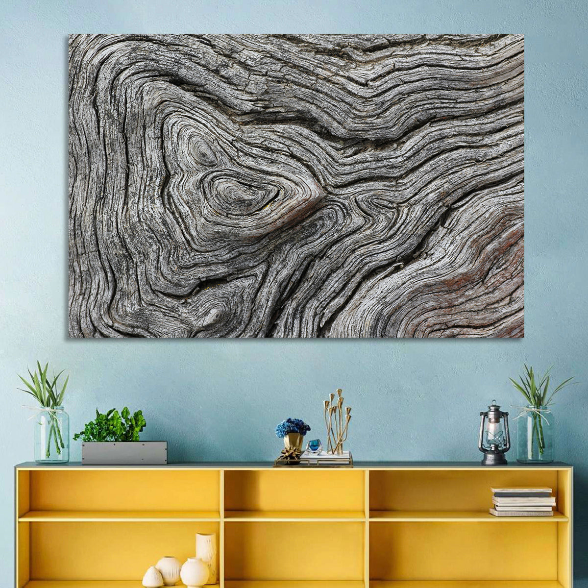 Tree Growth Rings Wall Art