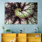 Begonia Leaf Spiral Geometry Wall Art