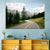 Colorado Mountain Road Wall Art