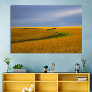 Soybean Field Wall Art