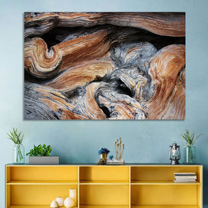 Juniper Wood Texture Wall Art