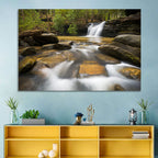 South Carolina Forest Waterfall Wall Art