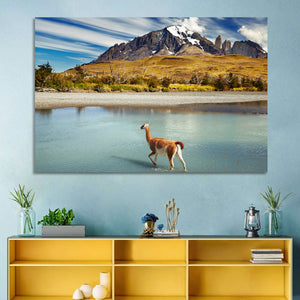 Patagonia National Park Wall Art