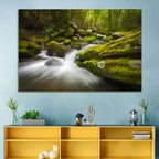 Gatlinburg Park Stream Wall Art