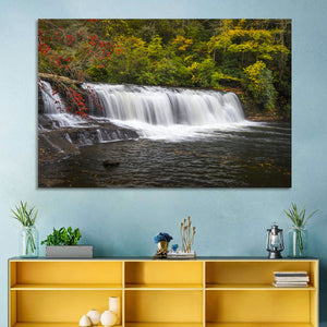 Dupont State Forest Stream Wall Art