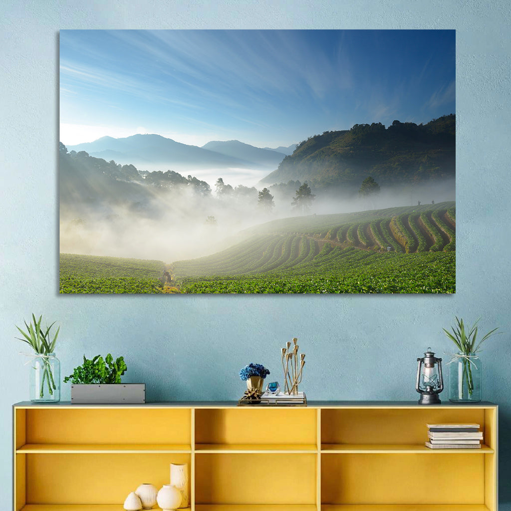 Sunlit Terraced Tea Hills Wall Art
