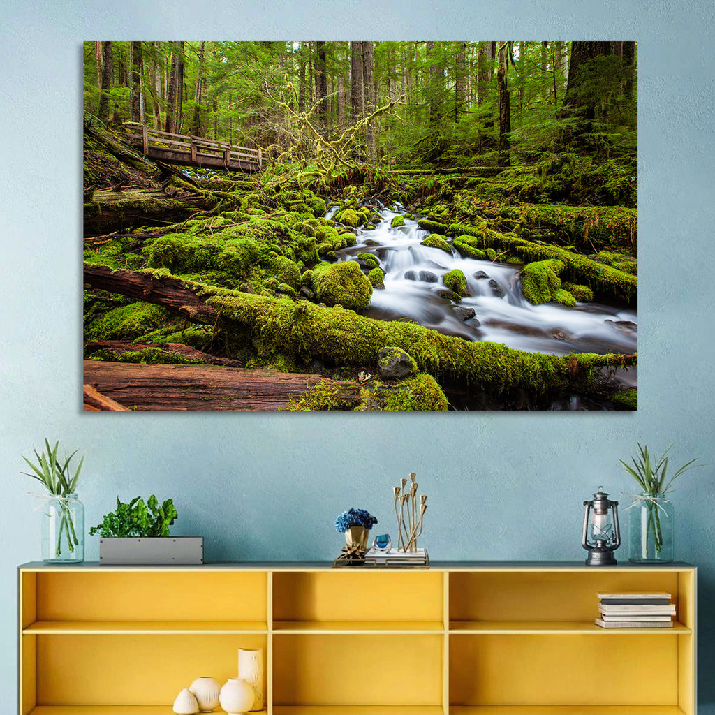 Mossy Cascade Forest Stream Wall Art