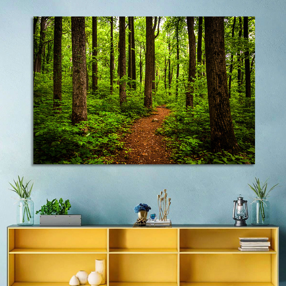 Shenandoah National Park Trail Wall Art in a room, landscape