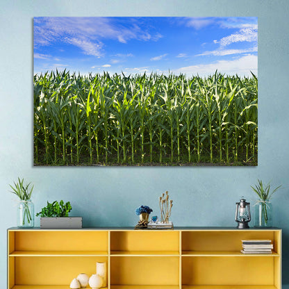 Green Corn Field Wall Art