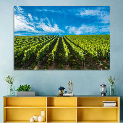 Luxembourg Vineyards Wall Art
