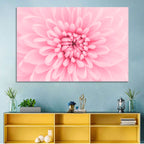 Pink Chrysanthemum Close-up Wall Art