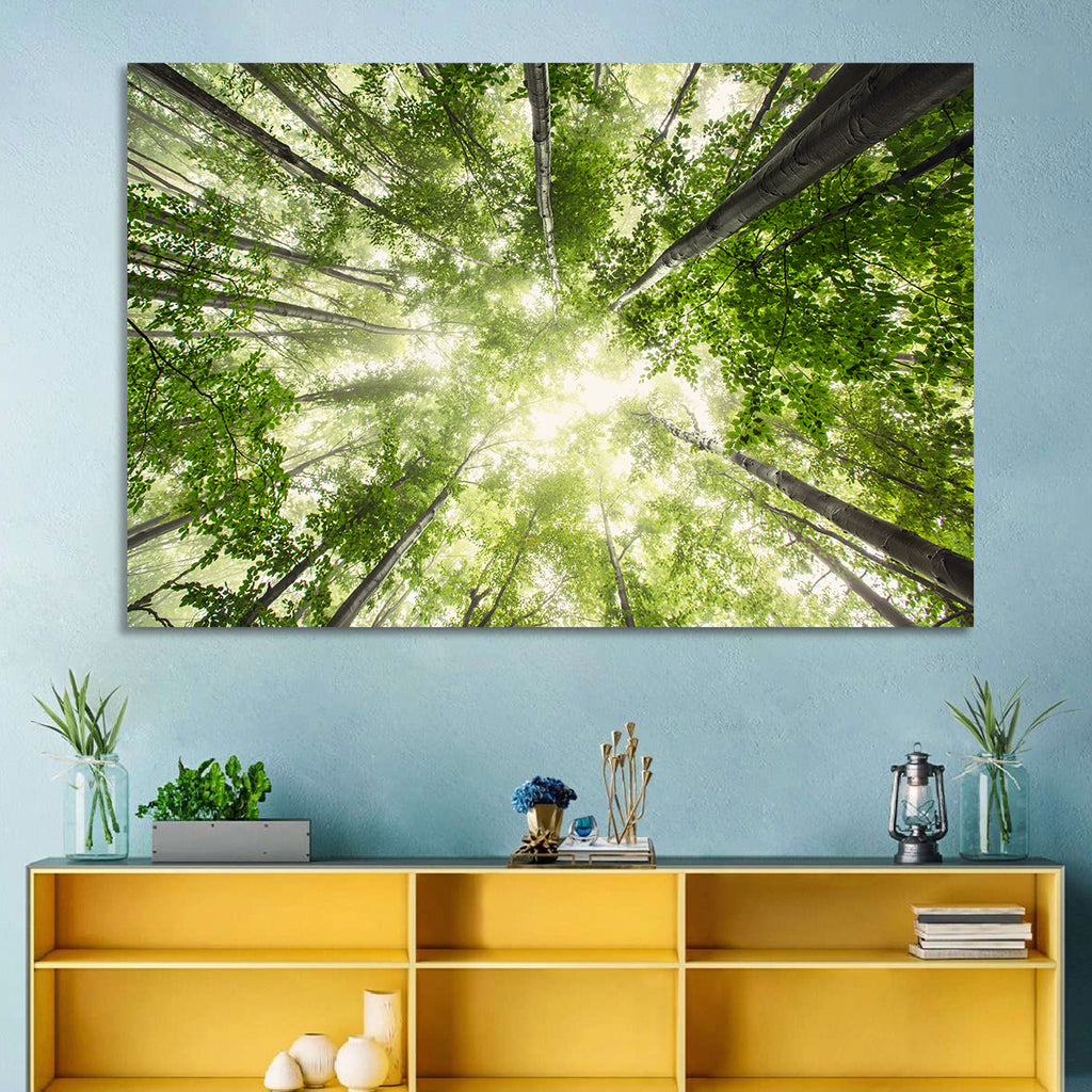 Spring Canopy in Morning Mist Wall Art
