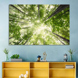 Misty Spring Forest Wall Art