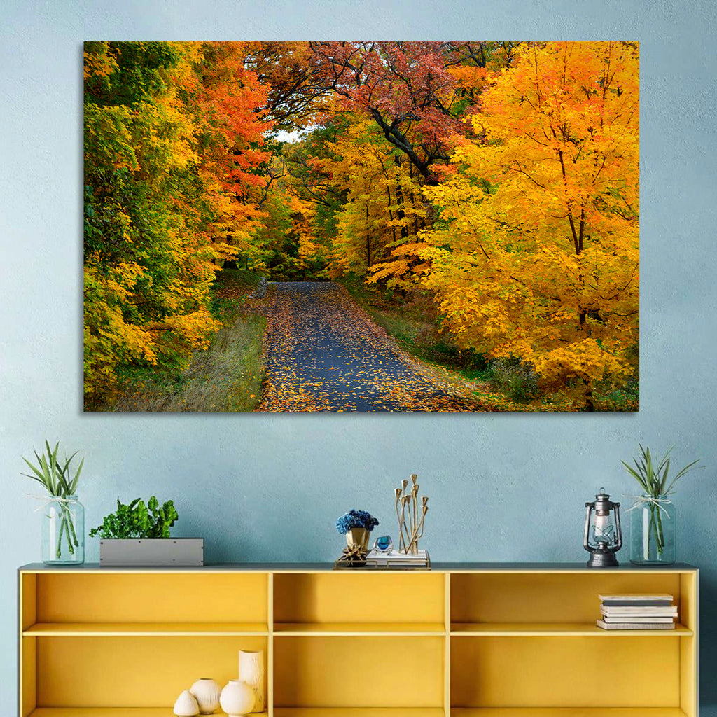 Autumn Road Through Wisconsin Park Wall Art