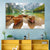 Lake Braies Boats Wall Art