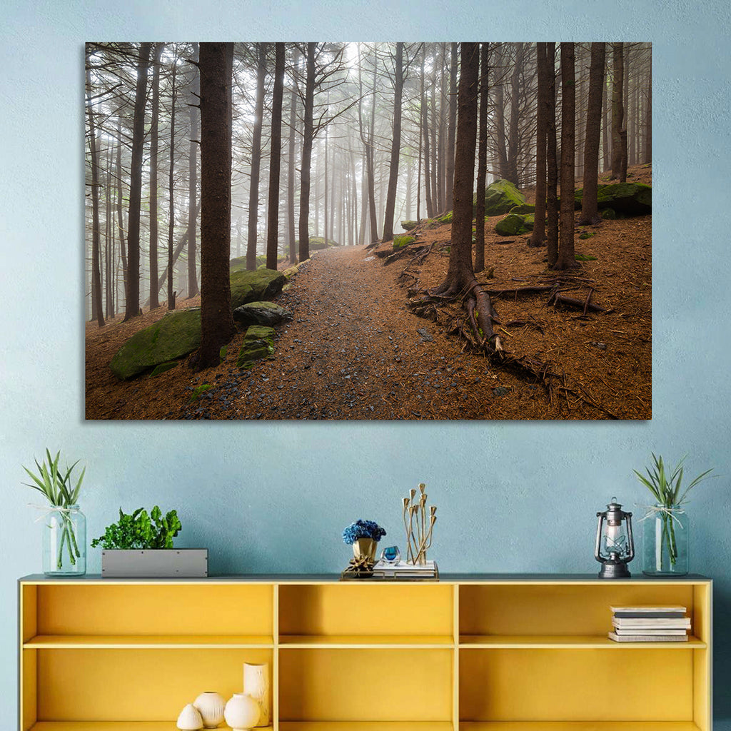 Misty Appalachian Trail Path Wall Art