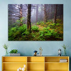 Misty Spruce-fir Trail Wall Art