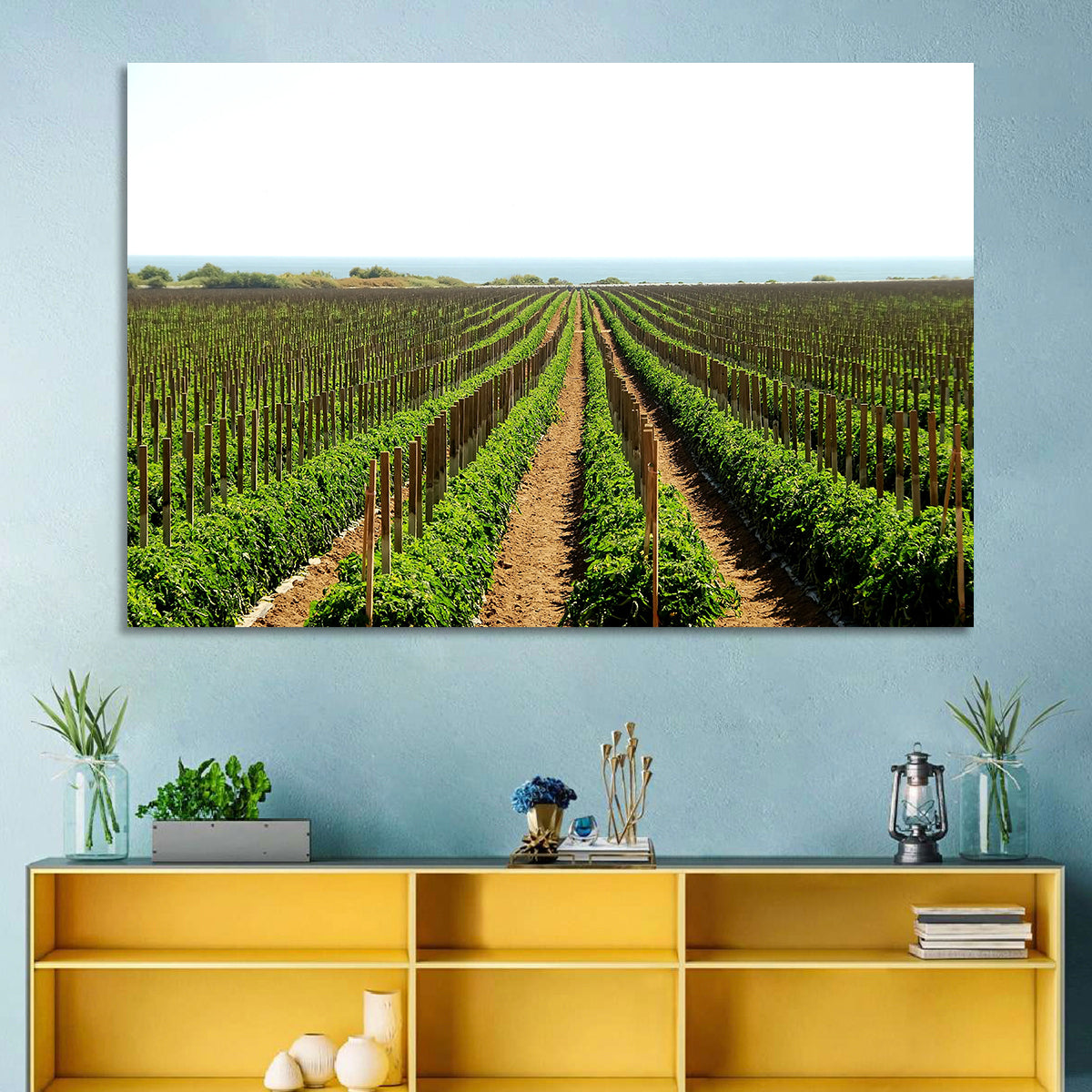 Tomato Fields Wall Art in a room, landscape