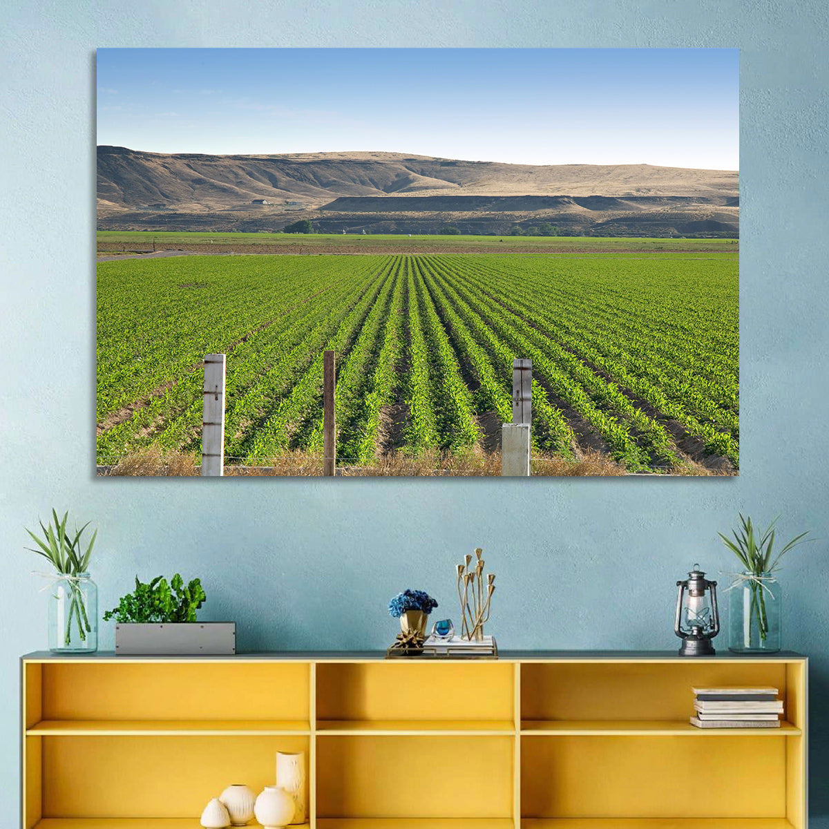 Idaho Corn Field Wall Art in a room, landscape